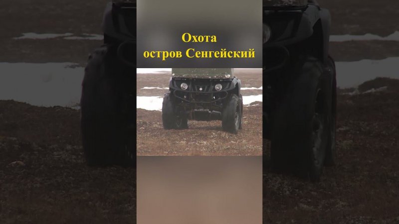 Охота на острове Сенгейский 11 #охотанагуся #охотавроссии