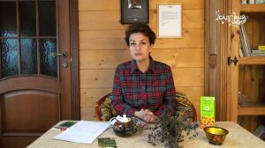 Богородская трава в вашем саду  Как вырастить тимьян и чабрец