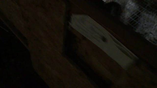 Как сделать клетку для кролика белого великана смотреть онлайн