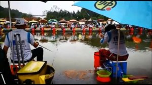 Херабуна турнир.Gold Leaf Cup Zhongwang 2017.6月24日金叶众望杯”2017全国垂钓俱乐部挑战赛（湖南临湘站