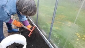 Борьба с мокрицей. Часть 2.