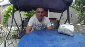 Домашнее Грибоводство. Как Хранить Мицелий Грибов. Выпуск 8.