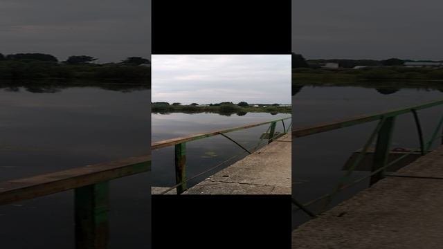 Вот эту красоту создал человек