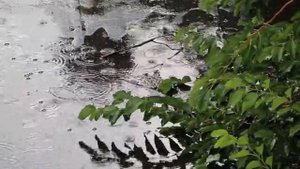 Сура 54  Аль Камар