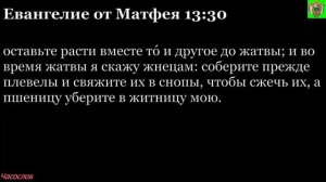 Аудиокнига. Библия. Новый Завет. ЕВАНГЕЛИЕ ОТ МАТФЕЯ. Глава 13