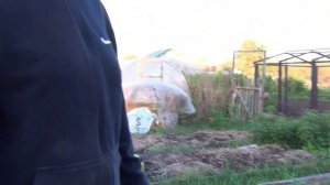 Картошка посажена Про землянику Итоги дня