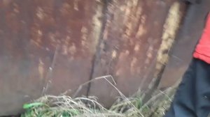 МУТНЫЕ ЗАМУТЫ