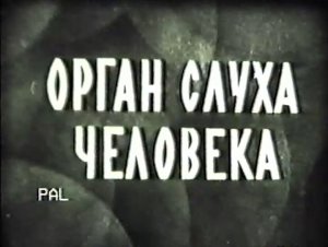 Орган слуха человека