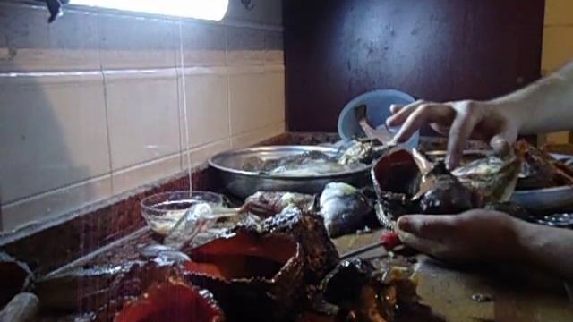 Whelk shucking - Rapana venosa смотреть онлайн