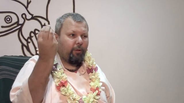 Переплыть океан, держась за хвост собаки смотреть онлайн