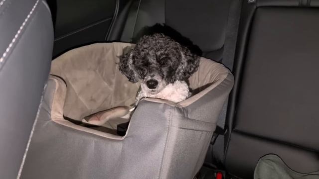 УРА!САМЫЙ ВАЖНЫЙ МОМЕНТ СЛУЧИЛСЯ СМ.ДО КОНЦА смотреть онлайн