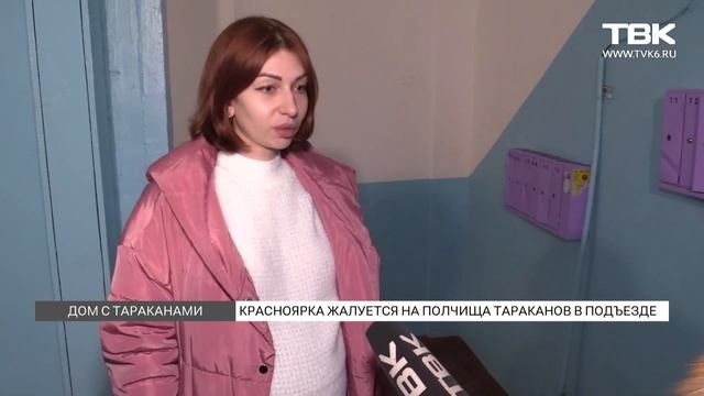 Нашествие тараканов в жилом доме. Красноярск смотреть онлайн
