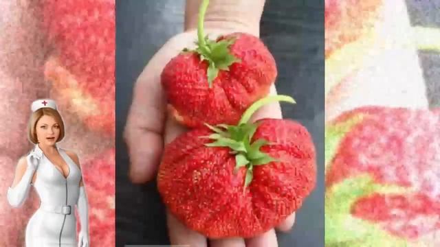 ЭТА  КЛУБНИКА  СМОЖЕТ   ЛЕЧИТЬ  ОПУХОЛИ,  ПОЧКИ  ОТ  КАМНЕЙ?  Strawberry  usefulness of this produc