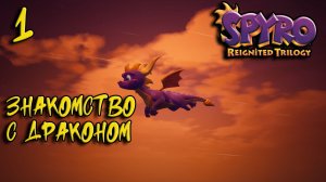 Spyro Trilogy Прохождение #1 Знакомство с драконом