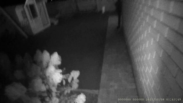 Ночная съемка AXPER Policecam X7 смотреть онлайн