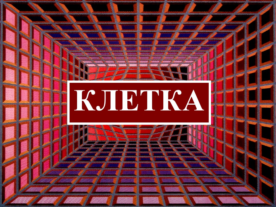 Клетка смотреть онлайн