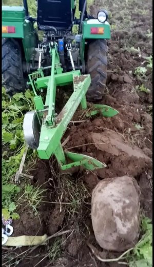 2021 Август. Осваиваем второй гектар. Снова таскаем камни и рвём в клочья культиватор