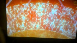 Почему ядро земли токое горячеё