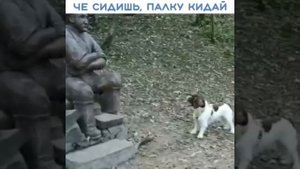 Что сидишь? Палку кидай!