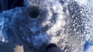 ЩУКА НА ЖЕРЛИЦЫ. ЗИМНЯЯ РЫБАЛКА. ЩУКА ЗИМОЙ.