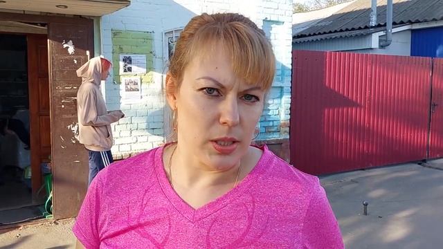 Как остановить рост бездомных животных, беседа с зооволонтерами смотреть онлайн