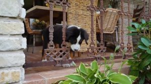 Дом МЕЧТЫ СВОИМИ РУКАМИ в 2022. Обзор дома и Рум Тур. Загородный дом. Современный дом