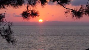Гостевой Дом у Моря ,Кобулети