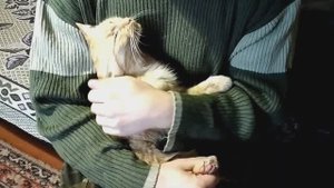 ЗИМОЙ НА СТАРОЙ ДАЧЕ  ..mp4