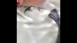 Рыбка рожает мальков через рот