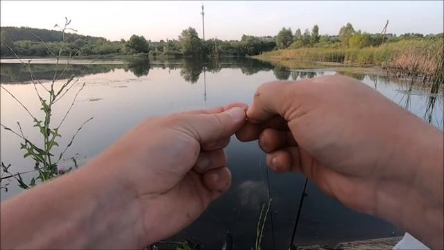 Сделал всё правильно и половил плотву в жару! смотреть онлайн