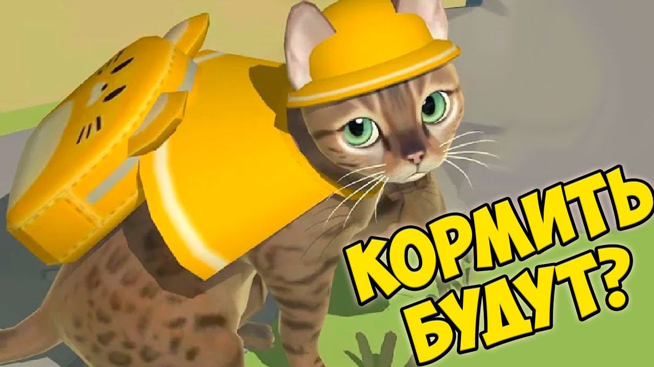 Отель КОТОВ и КОШЕККошачий курорт Котята Кэт сим