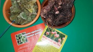 Боровая Матка и Красная Щётка от Кисты, Миомы, Бесплодия, Фибромы, Нарушения Менструального Цикла..