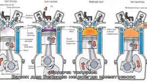 Устройство бензопилы
