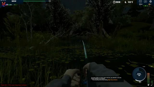 Professional Fishing - фарм денег и опыта на сомах