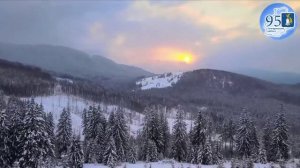 Песни. Родина любимая Россия.