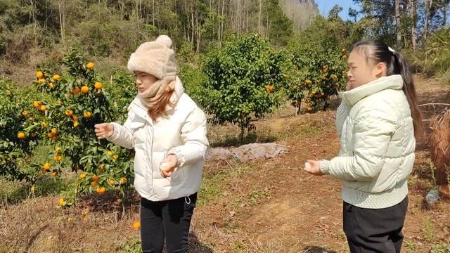 小九问徐姐今年去哪里过年，听他咋说 смотреть онлайн