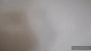 #33 серия.@Roza Ремонт продолжается. КАК ШПАКЛЕВАТЬ СТЕНЫ ИЗ ФАНЕРЫ.