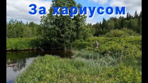 За хариусом. Как один омут всю рыбалку спас.