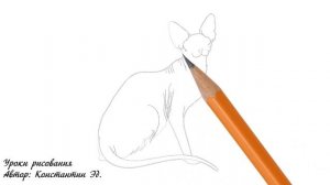 Нарисовать кота карандашом / Сфинкс / как нарисовать кота карандашом поэтапно