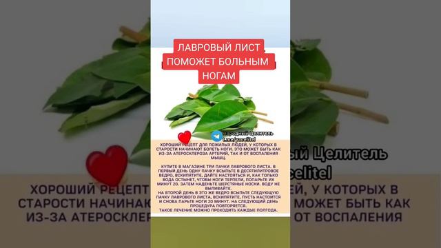 лавровый лист поможет больным ногам народный рецепт #медицина #здоровье #народнаямедицина #рецепт