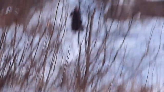 Самодельный снегоход Краснокамск. смотреть онлайн