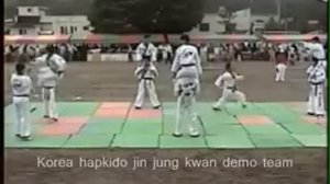 KOREA HAPKIDO JIN JUNG KWAN Démo team