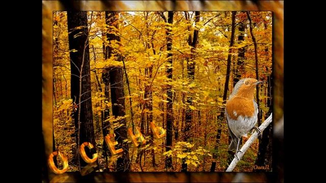 Евгений Рец-Осенний лес (Стихотворение читает автор)