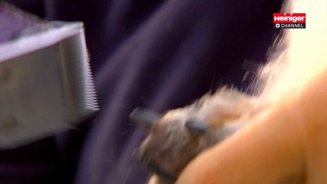 SaphirStyle SaphirCord by Heiniger смотреть онлайн