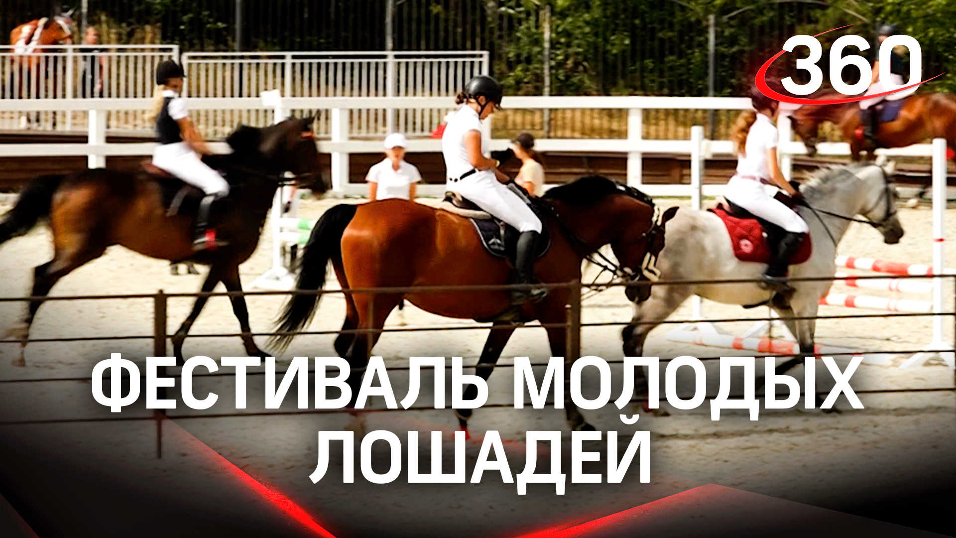 Национальный фестиваль молодых лошадей в Подмосковье