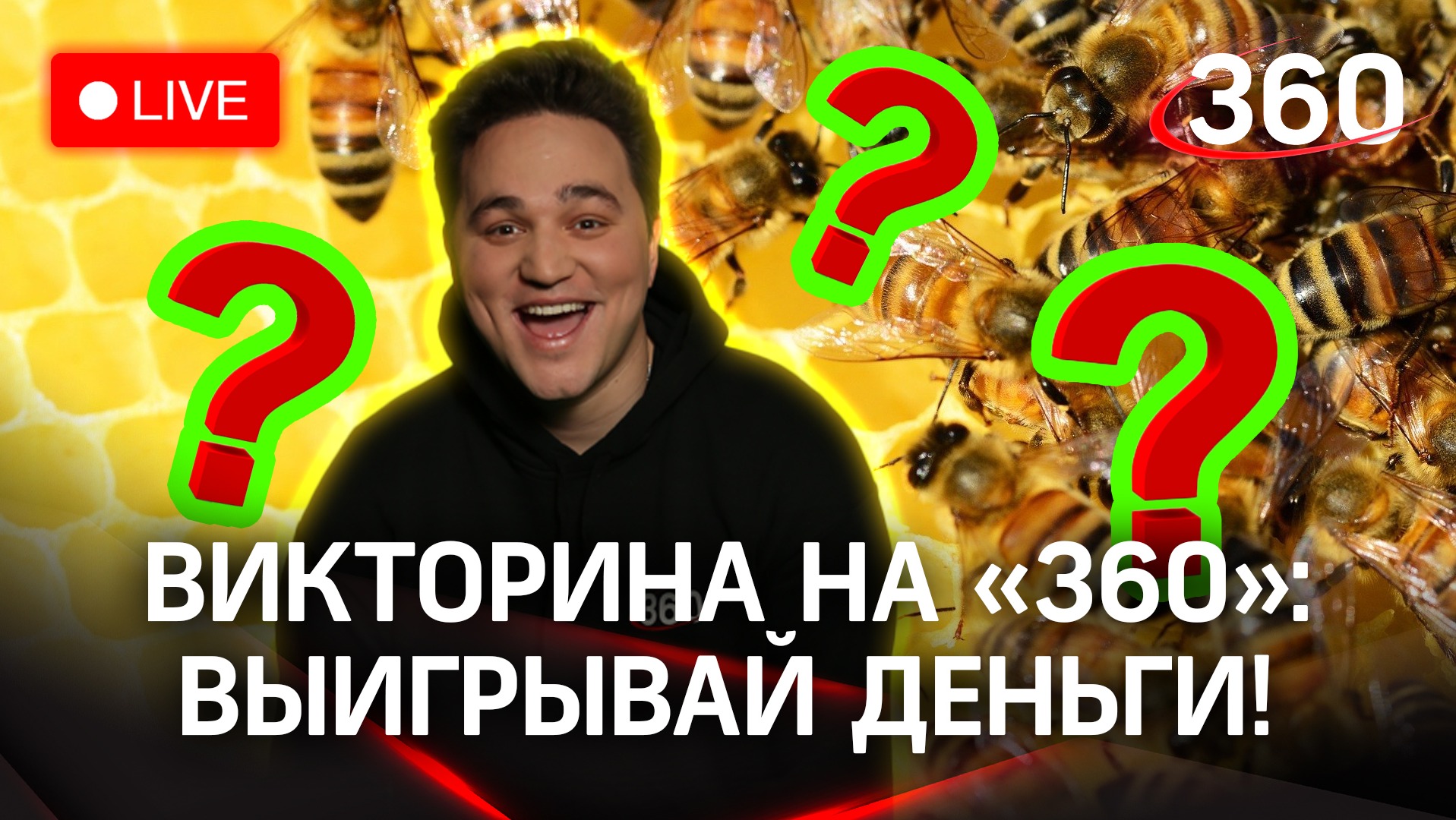 Отвечай и выигрывай! Викторина на «360»: «Парк пчёл» в округе Воскресенск
