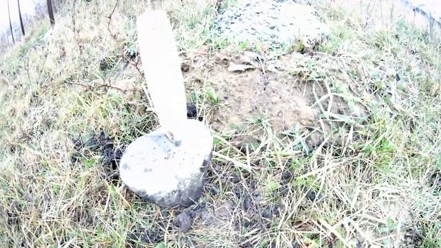 Осенняя посадка грецкого ореха. Сажаем зимостойкий грецкий орех при помощи строительного мастерка