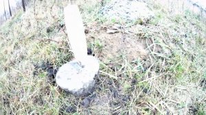 Осенняя посадка грецкого ореха. Сажаем зимостойкий грецкий орех при помощи строительного мастерка