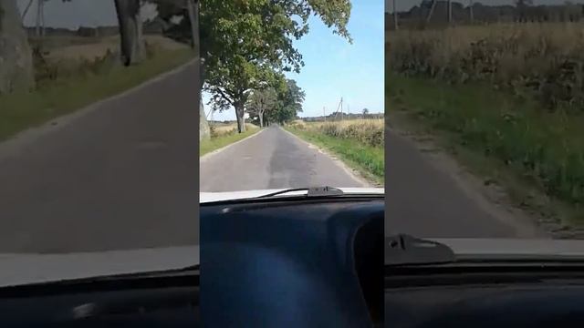 Калининградская область, Багратионовский район смотреть онлайн