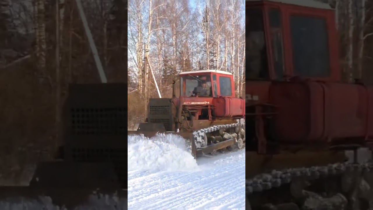 Как он стелит! ДТ 75 просто красавчик! смотреть онлайн